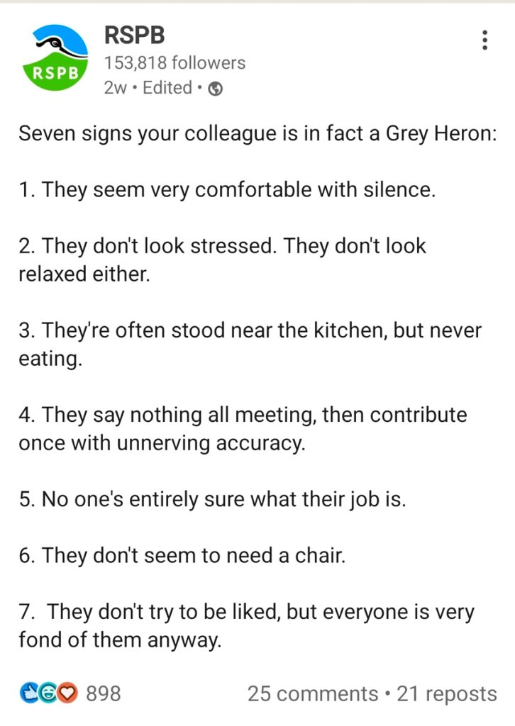 RSPB-LinkedIn-Example-Post-Your colleague is a Heron